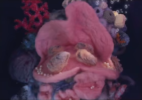 L'Enfant Huître — stop motion animation by Infanti Studio